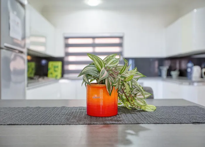 La Casa Provenza 圣保罗湾城