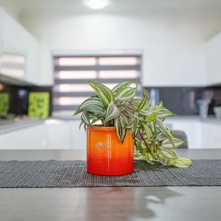 La Casa Provenza St. Paul's Bay